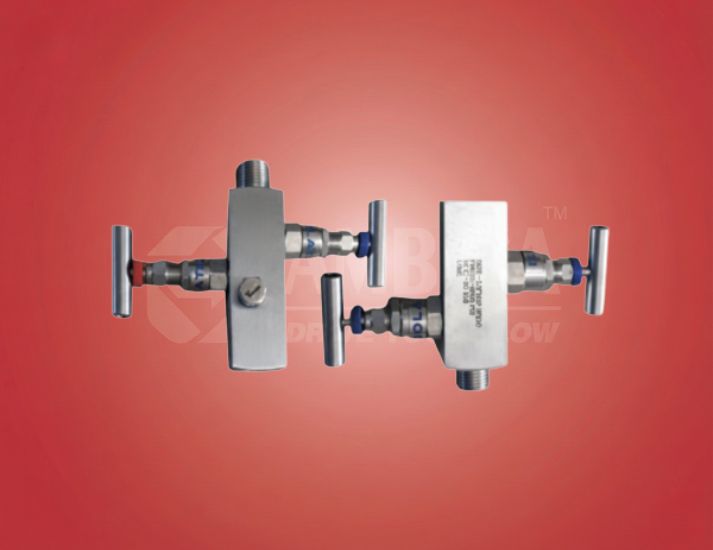 Gauge Root Valve