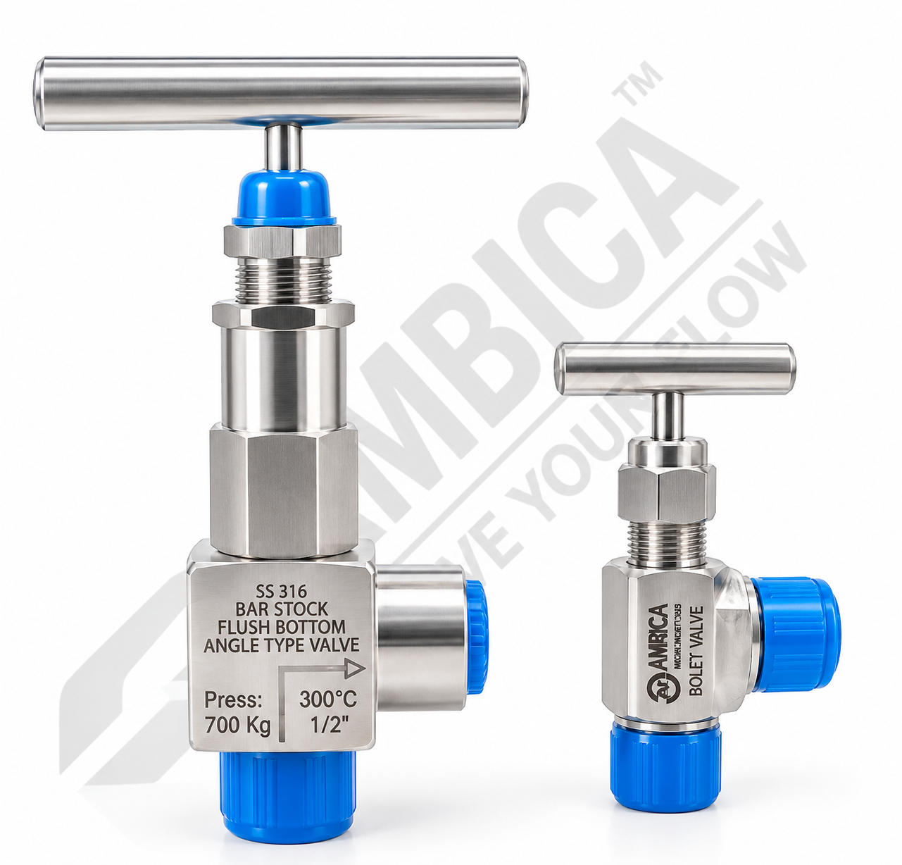 Stainless Steel Valves with Blue Caps